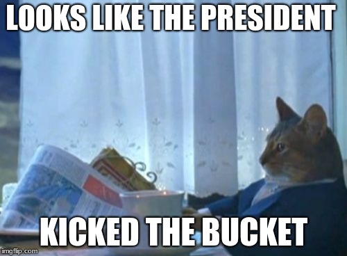 I Should Buy A Boat Cat Meme | LOOKS LIKE THE PRESIDENT; KICKED THE BUCKET | image tagged in memes,i should buy a boat cat | made w/ Imgflip meme maker