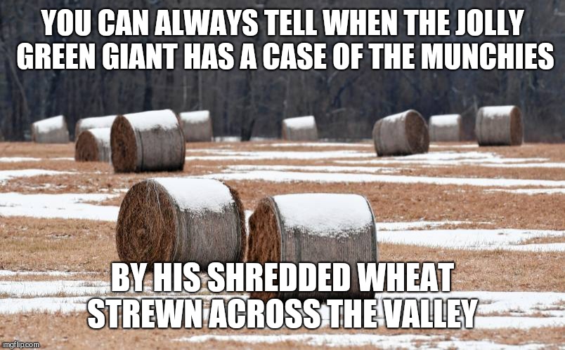 YOU CAN ALWAYS TELL WHEN THE JOLLY GREEN GIANT HAS A CASE OF THE MUNCHIES; BY HIS SHREDDED WHEAT STREWN ACROSS THE VALLEY | image tagged in the valley,jolly green giant | made w/ Imgflip meme maker