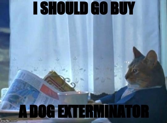 Cat newspaper | I SHOULD GO BUY; A DOG EXTERMINATOR | image tagged in cat newspaper | made w/ Imgflip meme maker