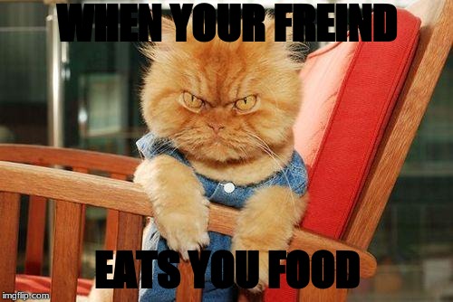 mad cat |  WHEN YOUR FREIND; EATS YOU FOOD | image tagged in mad cat | made w/ Imgflip meme maker