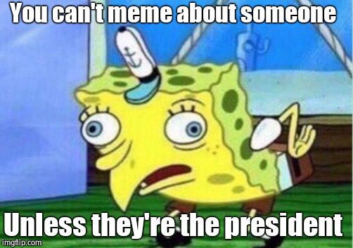 Mocking Spongebob Meme | You can't meme about someone Unless they're the president | image tagged in memes,mocking spongebob | made w/ Imgflip meme maker