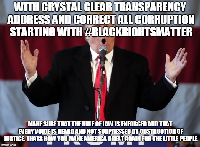 Make america great again | WITH CRYSTAL CLEAR TRANSPARENCY ADDRESS AND CORRECT ALL CORRUPTION STARTING WITH #BLACKRIGHTSMATTER; MAKE SURE THAT THE RULE OF LAW IS ENFORCED AND THAT EVERY VOICE IS HEARD AND NOT SURPRESSED BY OBSTRUCTION OF JUSTICE. THATS HOW YOU MAKE AMERICA GREAT AGAIN FOR THE LITTLE PEOPLE | image tagged in make america great again | made w/ Imgflip meme maker