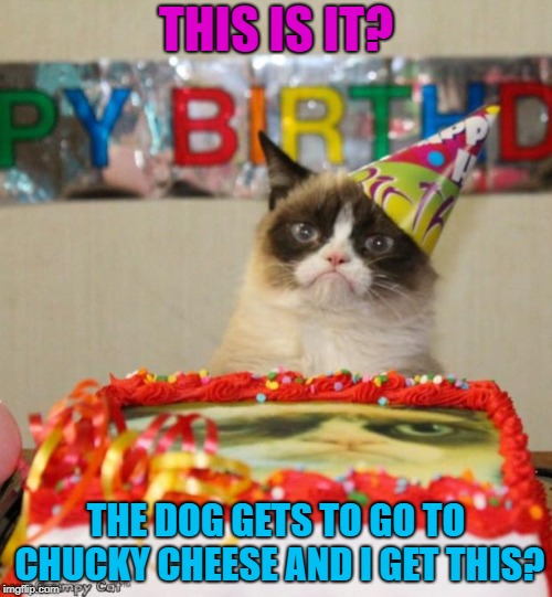 Grumpy Cat Birthday | THIS IS IT? THE DOG GETS TO GO TO CHUCKY CHEESE AND I GET THIS? | image tagged in memes,grumpy cat birthday,grumpy cat | made w/ Imgflip meme maker
