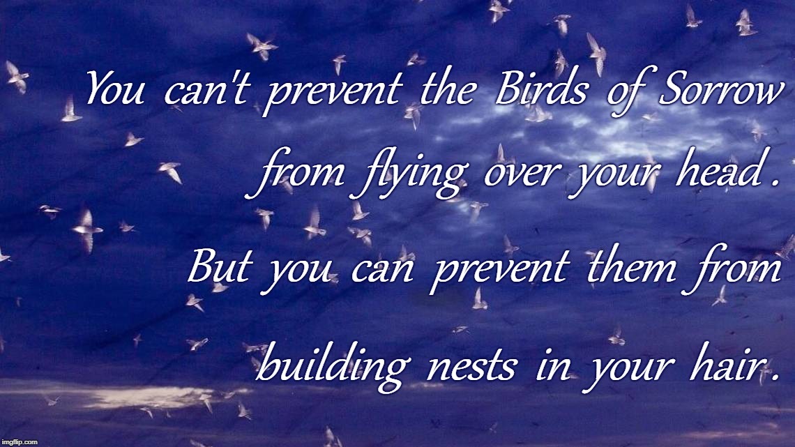Don't Let Birds of Sorrow Nest | You  can't  prevent  the  Birds  of  Sorrow; from  flying  over  your  head . But  you  can  prevent  them  from; building  nests  in  your  hair . | image tagged in birds of sorrow,nesting in your hair | made w/ Imgflip meme maker