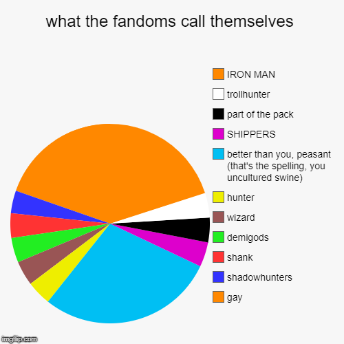 what the fandoms call themselves | gay, shadowhunters , shank, demigods, wizard, hunter , better than you, peasant (that's the spelling, you | image tagged in funny,pie charts | made w/ Imgflip chart maker