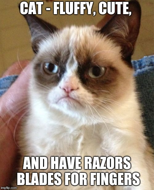 Grumpy Cat Meme | CAT - FLUFFY, CUTE, AND HAVE RAZORS BLADES FOR FINGERS | image tagged in memes,grumpy cat | made w/ Imgflip meme maker