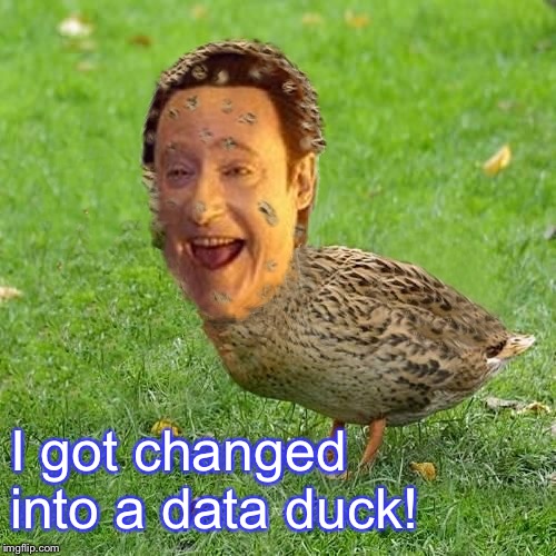 Cool Bullshit Da data duckith | I got changed into a data duck! | image tagged in cool bullshit da data duckith | made w/ Imgflip meme maker