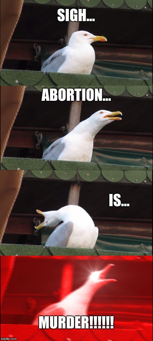 Inhaling Seagull | SIGH... ABORTION... IS... MURDER!!!!!! | image tagged in memes,inhaling seagull | made w/ Imgflip meme maker