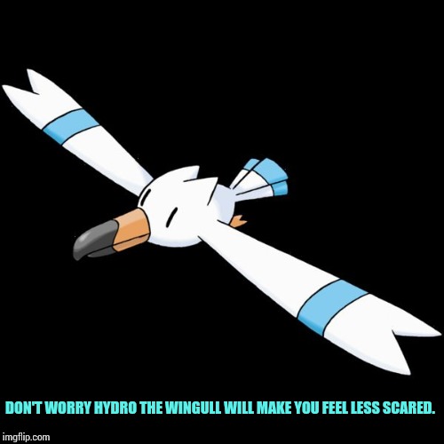 DON'T WORRY HYDRO THE WINGULL WILL MAKE YOU FEEL LESS SCARED. | image tagged in hydro the wingull | made w/ Imgflip meme maker