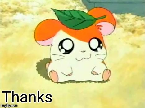 Hamtaro Meme | Thanks | image tagged in memes,hamtaro | made w/ Imgflip meme maker