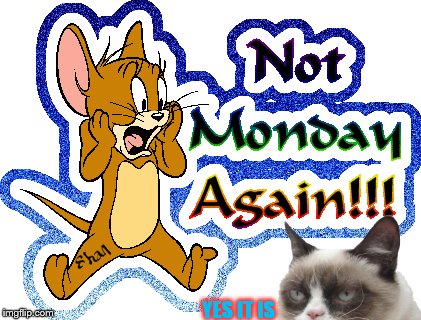 monday | YES IT IS | image tagged in grumpy cat,tom and jerry,jerry monday,funny memes,funny meme,mondays | made w/ Imgflip meme maker