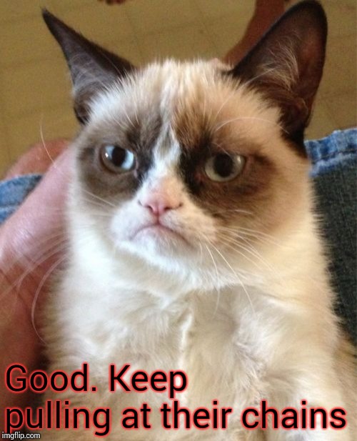 Grumpy Cat Meme | Good. Keep pulling at their chains | image tagged in memes,grumpy cat | made w/ Imgflip meme maker