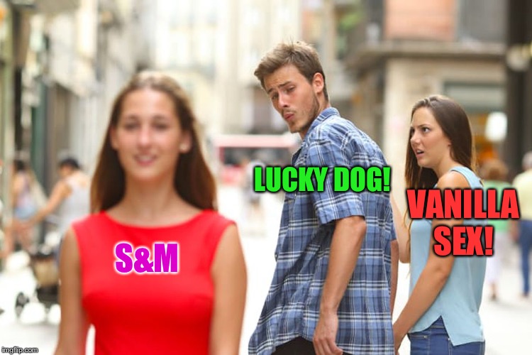 Distracted Boyfriend Meme | S&M LUCKY DOG! VANILLA SEX! | image tagged in memes,distracted boyfriend | made w/ Imgflip meme maker