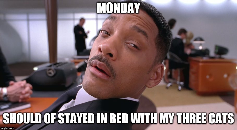 monday | MONDAY; SHOULD OF STAYED IN BED WITH MY THREE CATS | image tagged in will smith,man in black,monday mornings,mondays,funny memes,funny | made w/ Imgflip meme maker