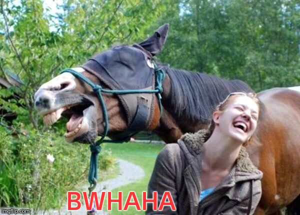 Laughing Horse | BWHAHA | image tagged in laughing horse | made w/ Imgflip meme maker