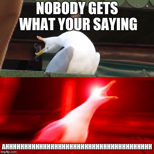 Inhalin Seagull | NOBODY GETS WHAT YOUR SAYING; AHHHHHHHHHHHHHHHHHHHHHHHHHHHHHHHHHHHHHHH | image tagged in inhalin seagull | made w/ Imgflip meme maker