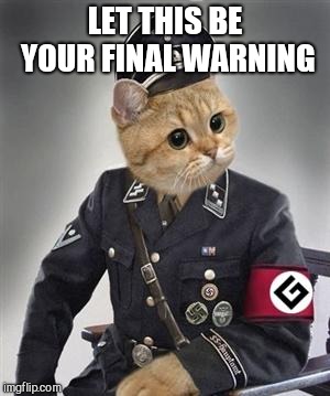 Grammar Nazi Cat | LET THIS BE YOUR FINAL WARNING | image tagged in grammar nazi cat | made w/ Imgflip meme maker
