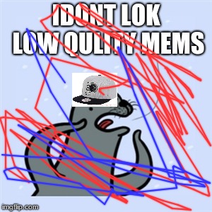 gay seal | IDONT LOK LOW QULITY MEMS | image tagged in gay seal | made w/ Imgflip meme maker