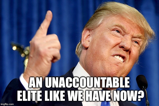 Donald Trump | AN UNACCOUNTABLE ELITE LIKE WE HAVE NOW? | image tagged in donald trump | made w/ Imgflip meme maker