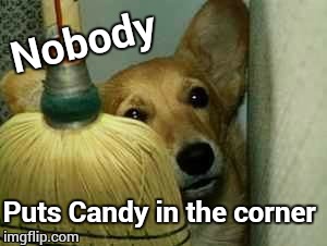 Candy in the corner |  Nobody; Puts Candy in the corner | image tagged in candy,brooms,little dog lost,disney,sad dog movies | made w/ Imgflip meme maker
