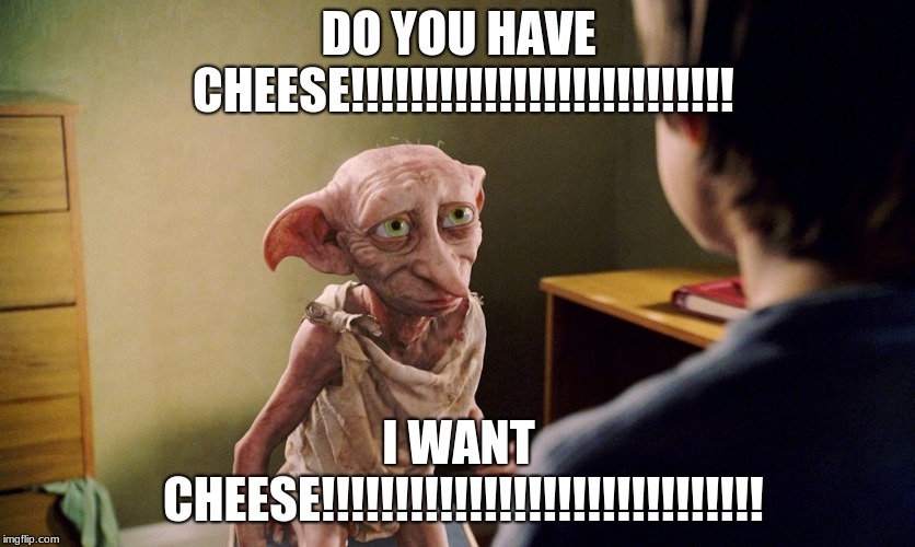 Cheese!!!!!!!!!!!!!!!!!!!!!!!!!!!!!!!!!!!!!!!!!!!!!!!!!!!!!!!!!!!!!!! | DO YOU HAVE CHEESE!!!!!!!!!!!!!!!!!!!!!!!!!! I WANT CHEESE!!!!!!!!!!!!!!!!!!!!!!!!!!!!!! | image tagged in google images | made w/ Imgflip meme maker