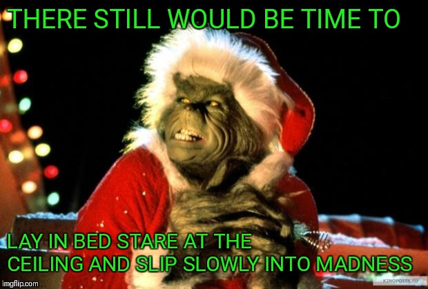The Grinch | THERE STILL WOULD BE TIME TO LAY IN BED STARE AT THE CEILING AND SLIP SLOWLY INTO MADNESS | image tagged in the grinch | made w/ Imgflip meme maker