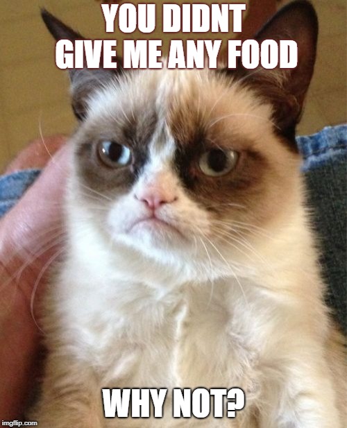Grumpy Cat Meme | YOU DIDNT GIVE ME ANY FOOD; WHY NOT? | image tagged in memes,grumpy cat | made w/ Imgflip meme maker