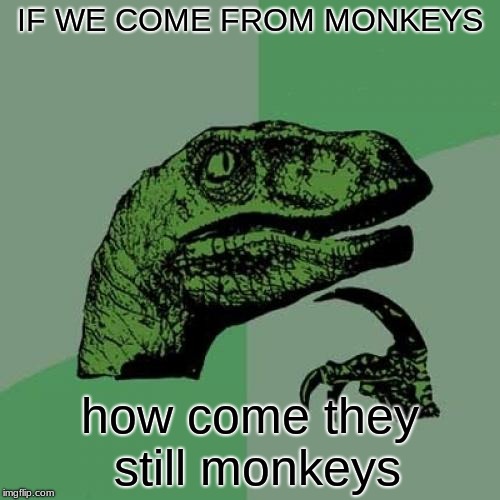 Philosoraptor | IF WE COME FROM MONKEYS; how come they still monkeys | image tagged in memes,philosoraptor | made w/ Imgflip meme maker