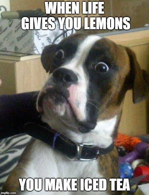 Blankie the Shocked Dog | WHEN LIFE GIVES YOU LEMONS; YOU MAKE ICED TEA | image tagged in blankie the shocked dog | made w/ Imgflip meme maker