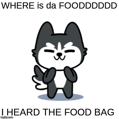 foooooooooooooooood | WHERE is da FOODDDDDD; I HEARD THE FOOD BAG | image tagged in husky | made w/ Imgflip meme maker