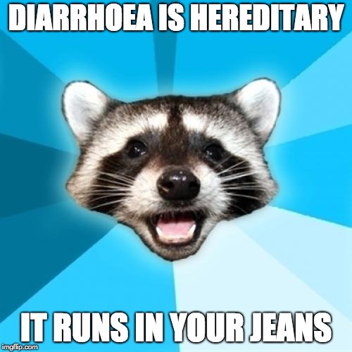 Lame Pun Coon Meme | DIARRHOEA IS HEREDITARY; IT RUNS IN YOUR JEANS | image tagged in memes,lame pun coon | made w/ Imgflip meme maker