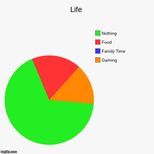 Life | Gaming, Family Time, Food, Nothing | image tagged in funny,pie charts | made w/ Imgflip chart maker