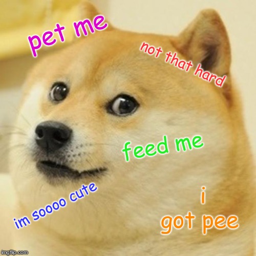 Doge | pet me; not that hard; feed me; i got pee; im soooo cute | image tagged in memes,doge | made w/ Imgflip meme maker