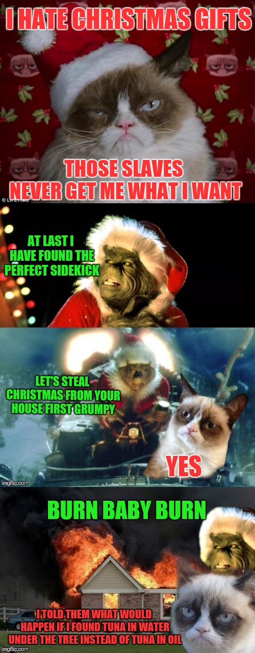 How The Grinch Stole Christmas Week. Dec 9th - Dec 14th (A 44colt event) | I HATE CHRISTMAS GIFTS; THOSE SLAVES NEVER GET ME WHAT I WANT; AT LAST I HAVE FOUND THE PERFECT SIDEKICK; LET'S STEAL CHRISTMAS FROM YOUR HOUSE FIRST GRUMPY; YES; BURN BABY BURN; I TOLD THEM WHAT WOULD HAPPEN IF I FOUND TUNA IN WATER UNDER THE TREE INSTEAD OF TUNA IN OIL | image tagged in the grinch meets grumpy cat,memes,funny,grumpy cat,how the grinch stole christmas week,44colt | made w/ Imgflip meme maker
