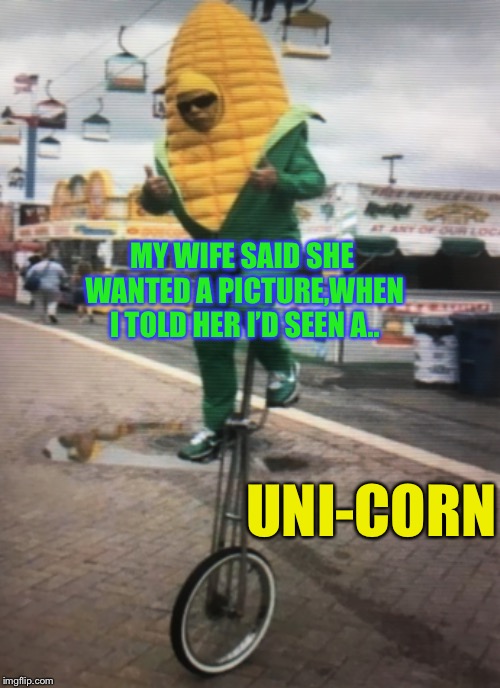 You’ll be a-MAIZE-d. | MY WIFE SAID SHE WANTED A PICTURE,WHEN I TOLD HER I’D SEEN A.. UNI-CORN | image tagged in unicorn,what else would it be,funny | made w/ Imgflip meme maker