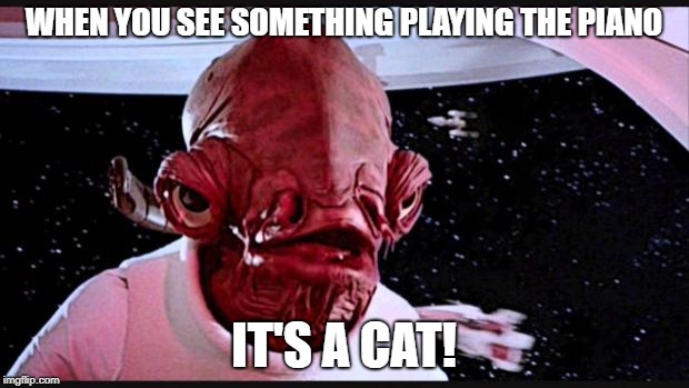 General Ackbar | WHEN YOU SEE SOMETHING PLAYING THE PIANO; IT'S A CAT! | image tagged in general ackbar | made w/ Imgflip meme maker