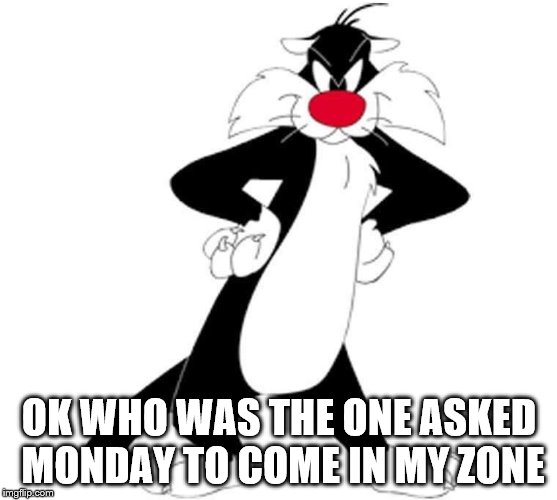 Sylvester the cat asked | OK WHO WAS THE ONE ASKED MONDAY TO COME IN MY ZONE | image tagged in memes,tweety bird and sylvester,sylvester the cat,monday,funny memes,funny meme | made w/ Imgflip meme maker