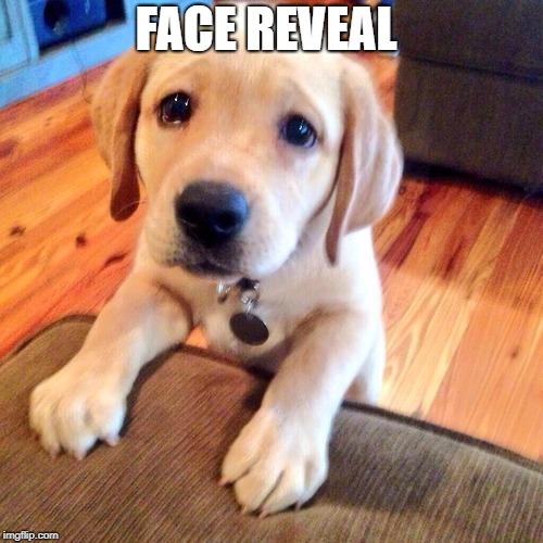 Puppy dog eyes | FACE REVEAL | image tagged in puppy dog eyes | made w/ Imgflip meme maker