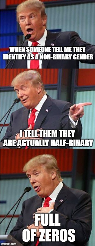 Bad Pun Trump | WHEN SOMEONE TELL ME THEY IDENTIFY AS A NON-BINARY GENDER; I TELL THEM THEY ARE ACTUALLY HALF-BINARY; FULL OF ZEROS | image tagged in bad pun trump | made w/ Imgflip meme maker