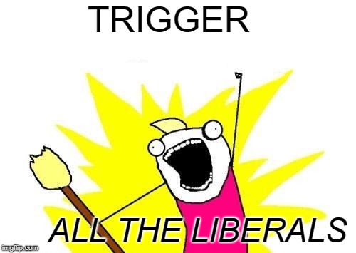 X All The Y Meme | TRIGGER ALL THE LIBERALS | image tagged in memes,x all the y | made w/ Imgflip meme maker