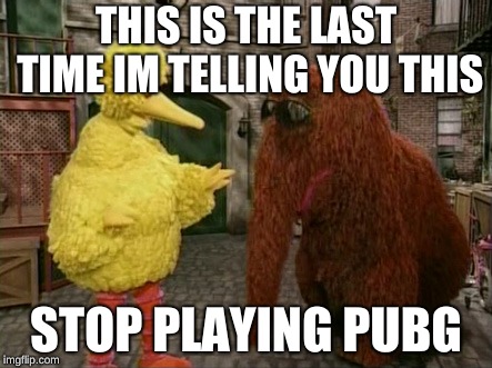 Big Bird And Snuffy Meme | THIS IS THE LAST TIME IM TELLING YOU THIS; STOP PLAYING PUBG | image tagged in memes,big bird and snuffy | made w/ Imgflip meme maker