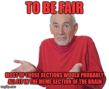 Old Man Shrugging | TO BE FAIR MOST OF THOSE SECTIONS WOULD PROBABLY ALL FIT IN THE MEME SECTION OF THE BRAIN | image tagged in old man shrugging | made w/ Imgflip meme maker