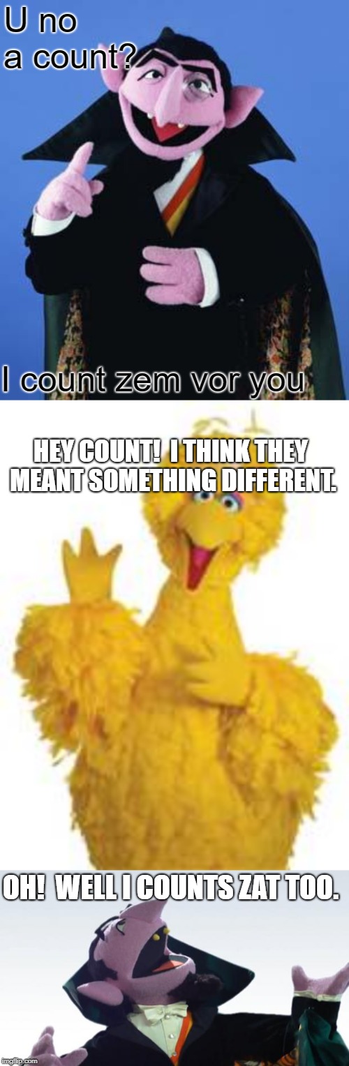 U no a count? I count zem vor you OH!  WELL I COUNTS ZAT TOO. HEY COUNT!  I THINK THEY MEANT SOMETHING DIFFERENT. | image tagged in the count,big bird | made w/ Imgflip meme maker