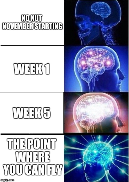 Expanding Brain Meme | NO NUT NOVEMBER STARTING; WEEK 1; WEEK 5; THE POINT WHERE YOU CAN FLY | image tagged in memes,expanding brain | made w/ Imgflip meme maker