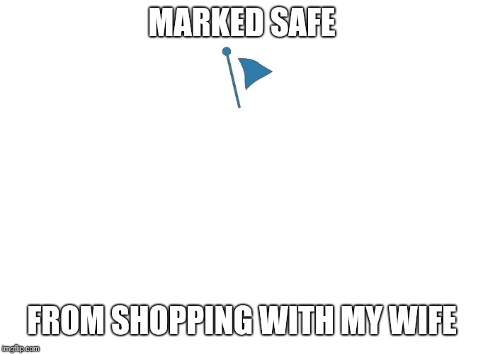 Marked safe | MARKED SAFE; FROM SHOPPING WITH MY WIFE | image tagged in marked safe | made w/ Imgflip meme maker