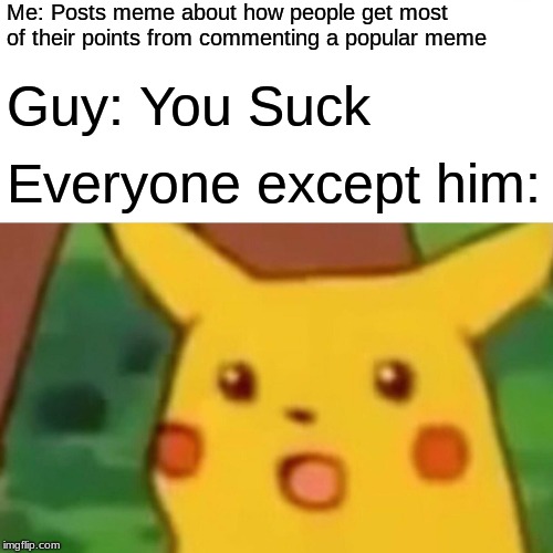 Surprised Pikachu Meme | Me: Posts meme about how people get most of their points from commenting a popular meme Guy: You Suck Everyone except him: | image tagged in memes,surprised pikachu | made w/ Imgflip meme maker