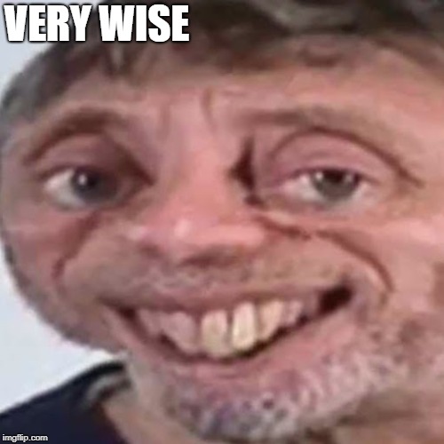 Noice | VERY WISE | image tagged in noice | made w/ Imgflip meme maker