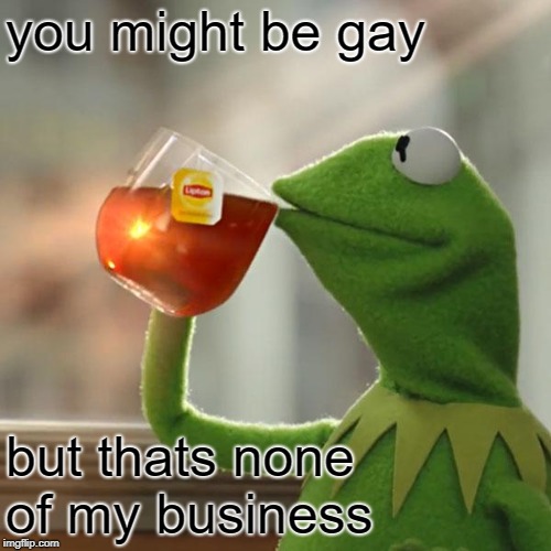 But That's None Of My Business Meme | you might be gay but thats none of my business | image tagged in memes,but thats none of my business,kermit the frog | made w/ Imgflip meme maker