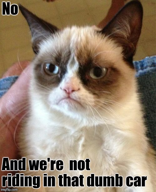 Grumpy Cat Meme | No And we're  not riding in that dumb car | image tagged in memes,grumpy cat | made w/ Imgflip meme maker