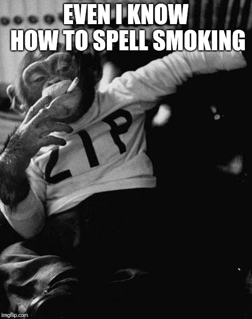 smoking monkey  | EVEN I KNOW HOW TO SPELL SMOKING | image tagged in smoking monkey | made w/ Imgflip meme maker